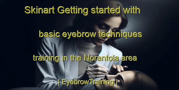 Skinart Getting started with basic eyebrow techniques training in the Norantola area | EyebrowTraining | EyebrowClasses | SkinartTraining-Switzerland